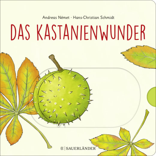 Hans-Christian Schmidt: Das Kastanienwunder